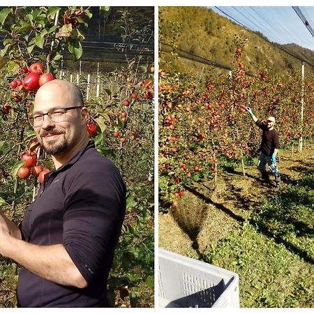 Agriturismo Pian Dei Tass Barcis Exteriér fotografie