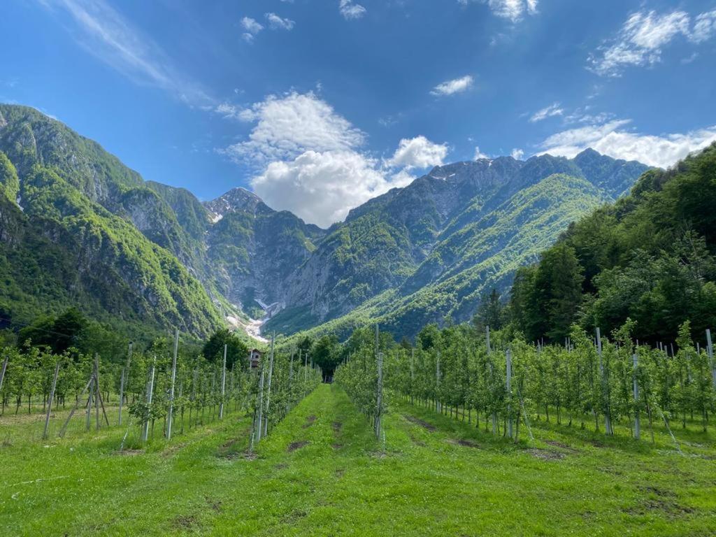 Agriturismo Pian Dei Tass Barcis Exteriér fotografie