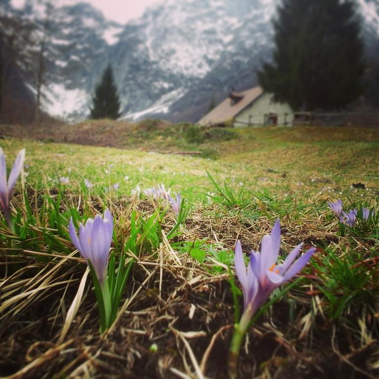 Agriturismo Pian Dei Tass Barcis Exteriér fotografie